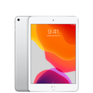 iPad mini Wi-Fi 256 GB Gris espacial Wi-Fi