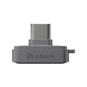 MEMORIA FLASH ADAM ELEMENTS ICLIPS SSD 256GB HUELLA USB-C GREY