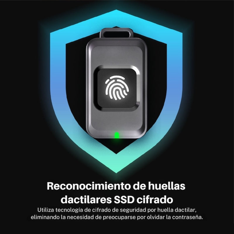 MEMORIA FLASH ADAM ELEMENTS ICLIPS SSD 256GB HUELLA USB-C GREY