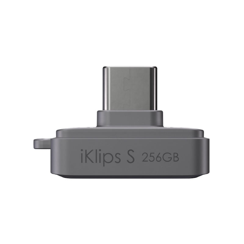 MEMORIA FLASH ADAM ELEMENTS ICLIPS SSD 256GB HUELLA USB-C GREY