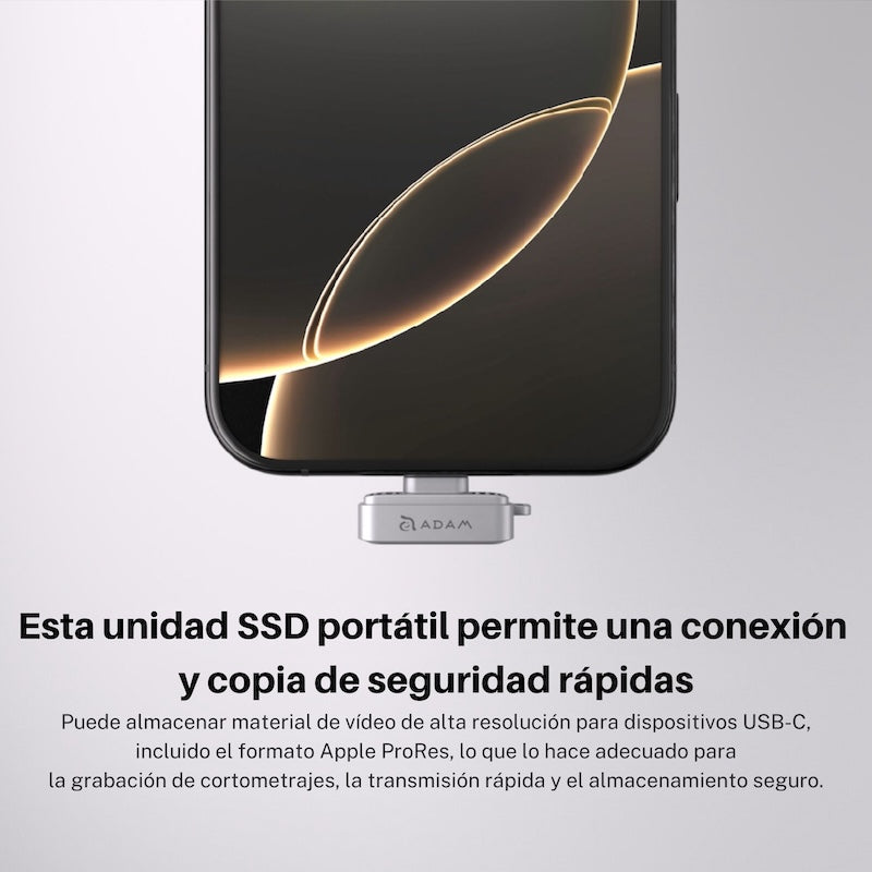 MEMORIA FLASH ADAM ELEMENTS ICLIPS SSD 256GB HUELLA USB-C GREY