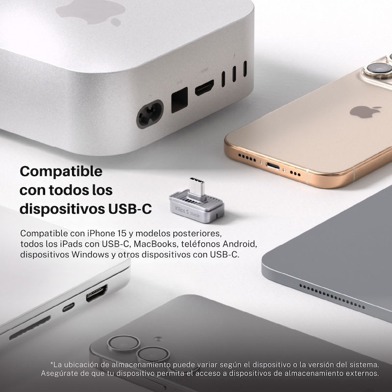 MEMORIA FLASH ADAM ELEMENTS ICLIPS SSD 256GB HUELLA USB-C GREY