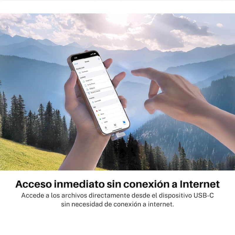 MEMORIA FLASH ADAM ELEMENTS ICLIPS SSD 256GB HUELLA USB-C GREY