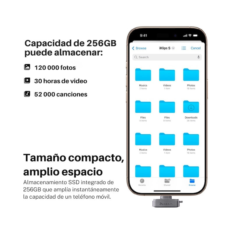 MEMORIA FLASH ADAM ELEMENTS ICLIPS SSD 256GB HUELLA USB-C GREY
