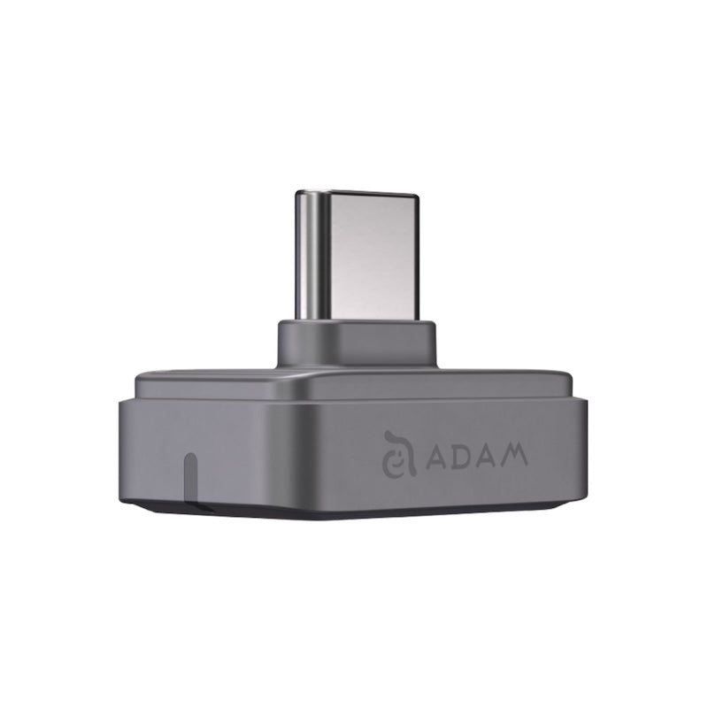 MEMORIA FLASH ADAM ELEMENTS ICLIPS SSD 256GB HUELLA USB-C GREY