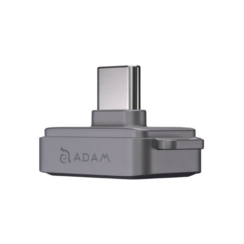 MEMORIA FLASH ADAM ELEMENTS ICLIPS SSD 256GB HUELLA USB-C GREY