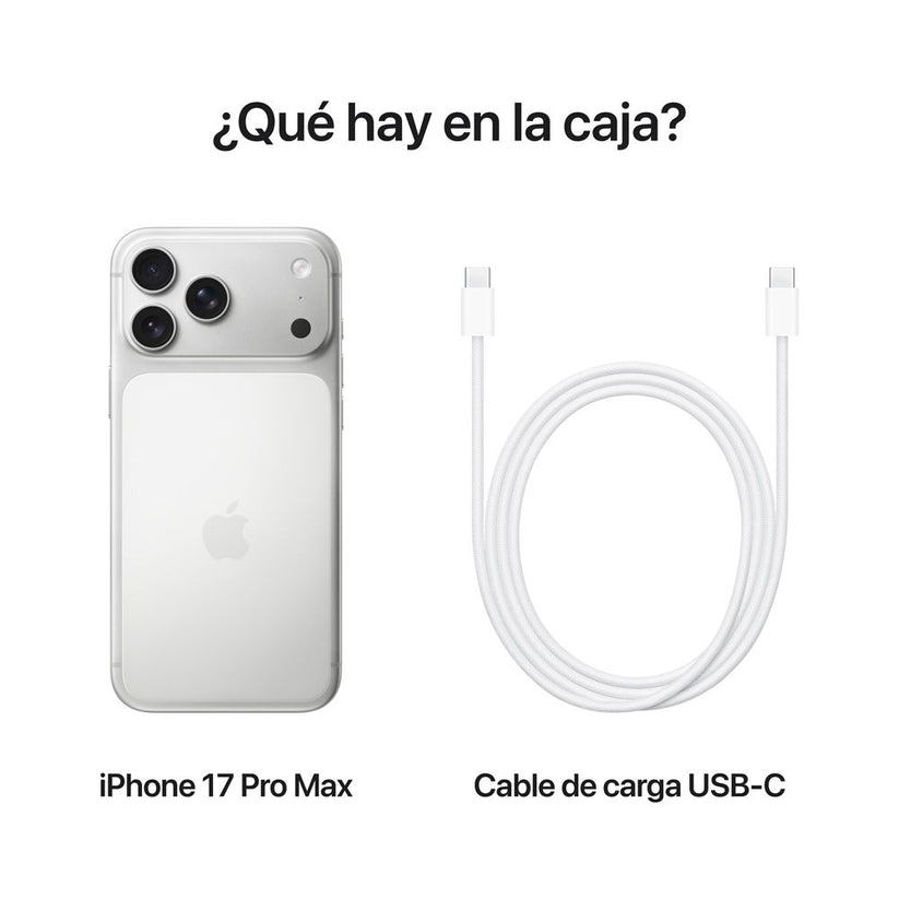 iPhone_17_Pro_Max_Silver_PDP_Image_Position_8__LAES