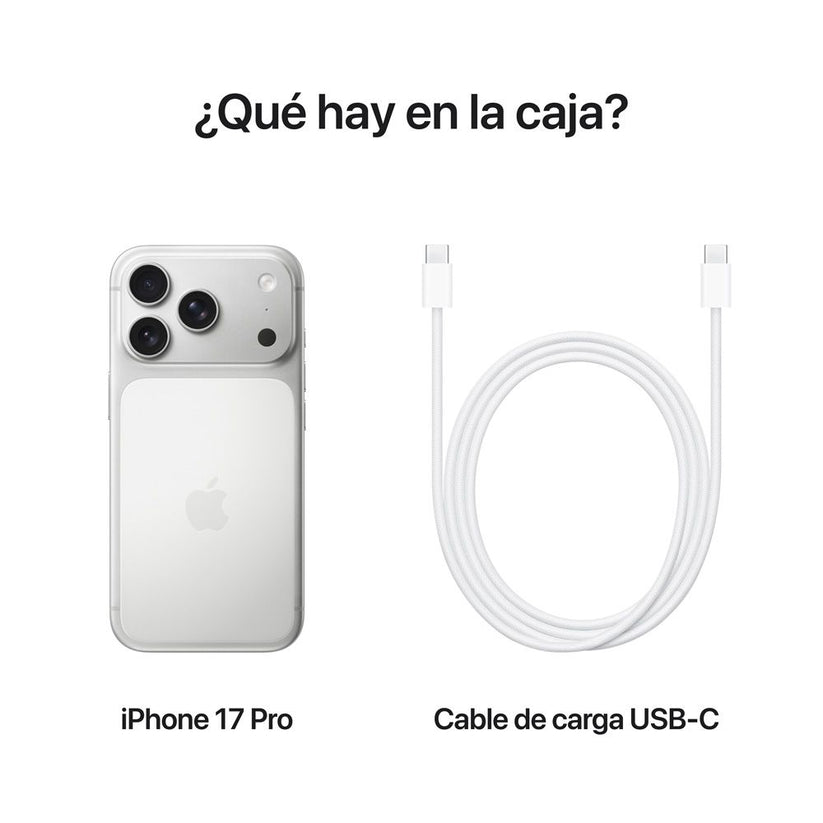 iPhone_17_Pro_Silver_PDP_Image_Position_8__LAES