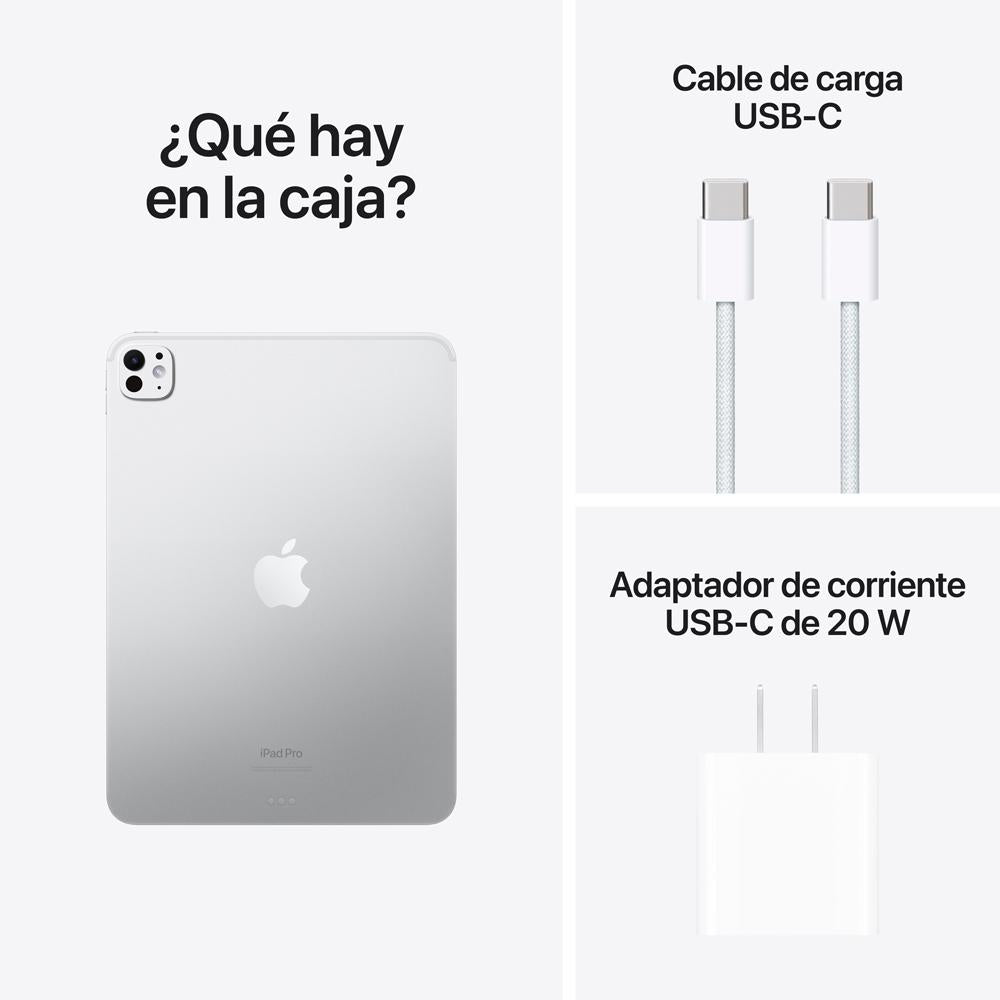 iPad Pro de 11 pulgadas Wi-Fi 256 GB Vidrio estándar - Plata (M4)