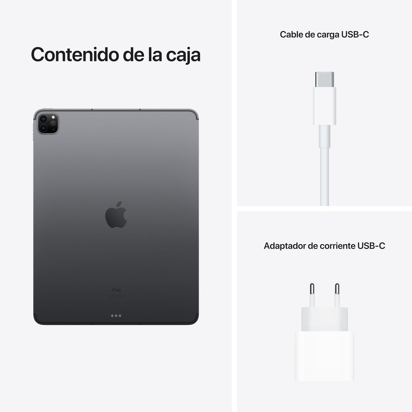 2021 iPad Pro de 12,9 pulgadas Wi-Fi + Cellular 256 GB - Gris espacial (5.ª generación)