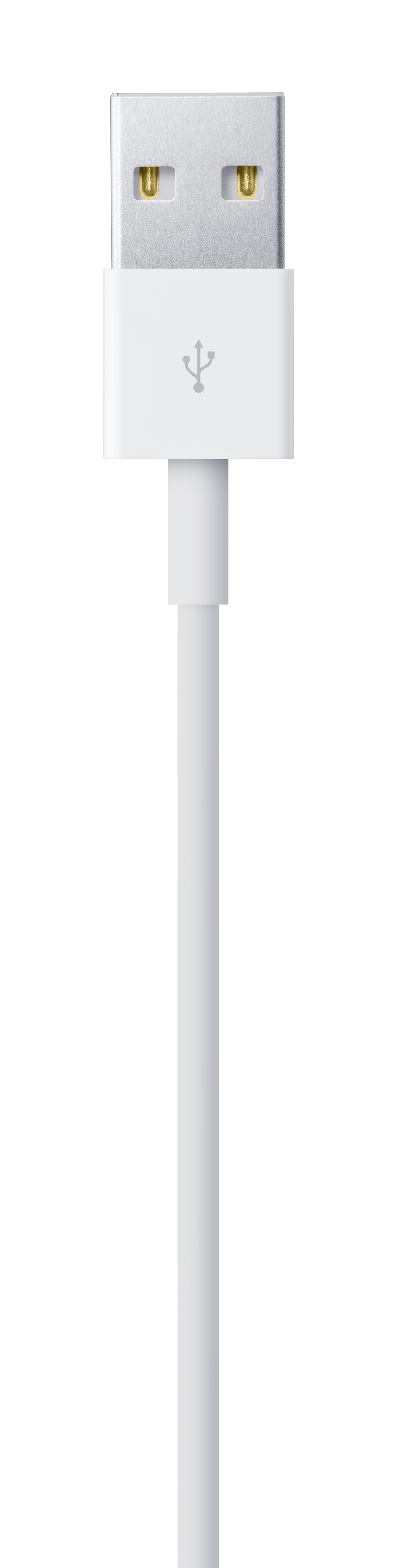 Cable Apple de conector Lightning a USB de 1M - Blanco